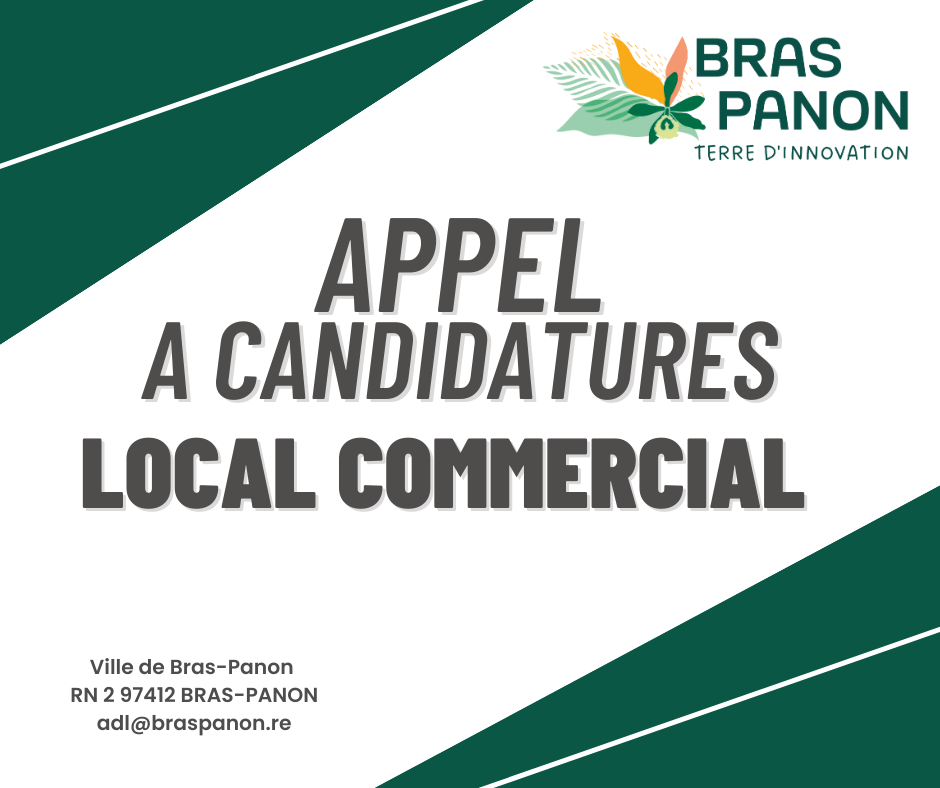 APPEL A CANDIDATURESLOCATION D’UN LOCAL AUCENTRE VILLE DE BRAS-PANON