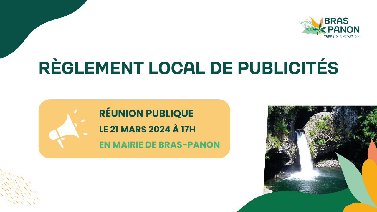 Règlement Local de Publicité (RLP)